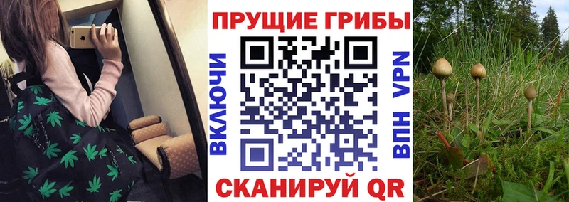 Галлюциногенные грибы GOLDEN TEACHER Артём